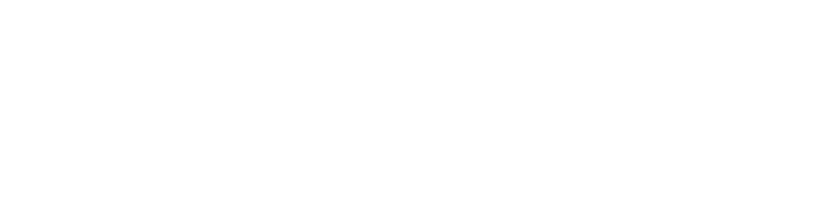 SOLEADO LOGO